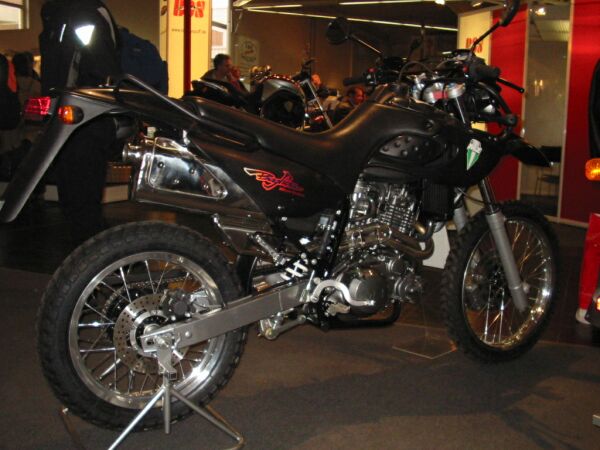 MZ Black Panther